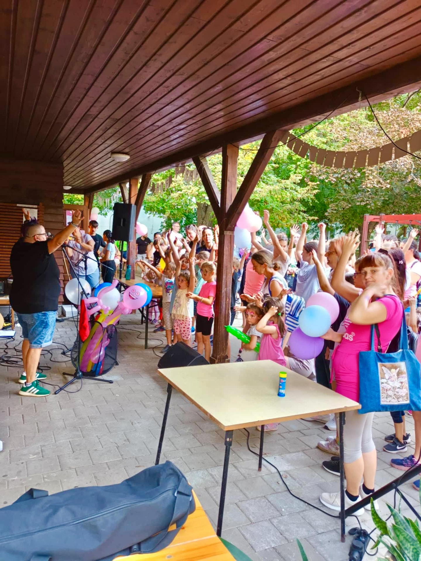 Bodrogközy Rita – Kezeket fel!